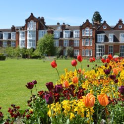Facilitation as Performance, Cambridge