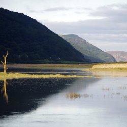 Porlock Marsh at high tide. Credit Tim Edwards