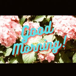 Good Morning! A Brunch Party