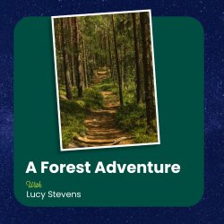 A Forest Adventure