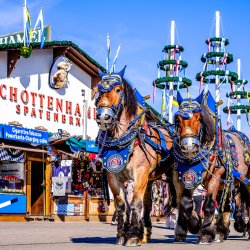 AGBC and Friends Return to Oktoberfest 2026