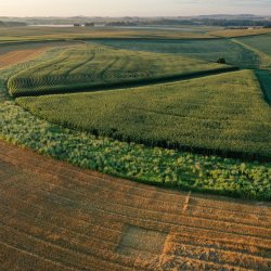 From the Margins: Wilding American Farmland for Climate Resilience