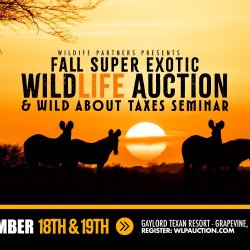 Fall Super Exotic WildLife Auction & Wild About Taxes Seminar