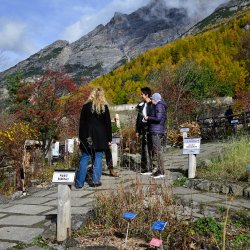 Visite guidate al Giardino Botanico