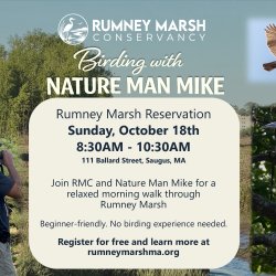 Birding with Nature Man Mike at Rumney Marsh - Oct 18th