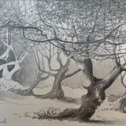 Atelier de dessin dans les Jardins de William Christie