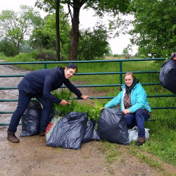 Invasive Species Removal - Yellow Iris (Morning)