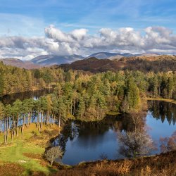 The Healing Bow Hikes - Tarn Hows & Black Crag