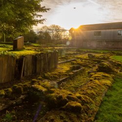 Bat Walks at Norton Priory