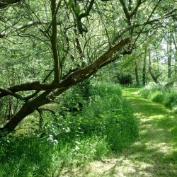 A co-creative writing journey into deeper Nature connection