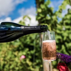 Inner Circle Vineyard Tour and Tastings at Brabourne Vineyard