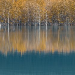 Autumn wonders at Abraham, Photography Workshop