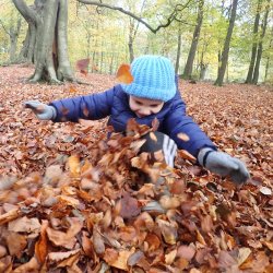 Mini Explorers: For 0-4s and their Grown-Ups!