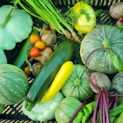 Composting, Biochar & Regenerative Growing