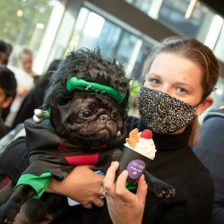 Pug Cafe Halloween - Newcastle