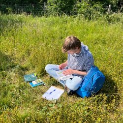 Beginner Botany Walk - Holyrood Park, Edinburgh