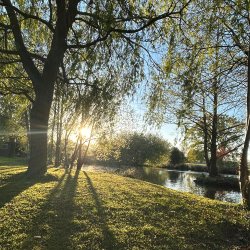 Spring Calm at the Shift Retreats
