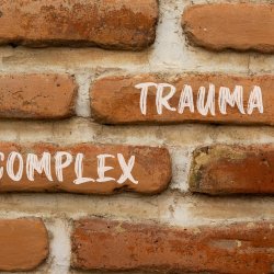 Clarity in EMDR Case Conceptualisation & Preparation for Complex Trauma