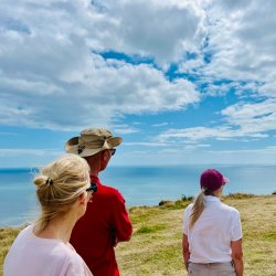 St Wites Way Guided Pilgrimage Walk 2026