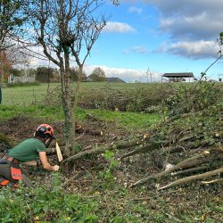 Introduction to hedgelaying for women