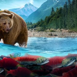 Running Wild: Return to the River