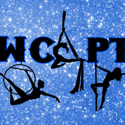 The Westcountry Aerial & Pole Tournament