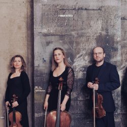 Ensemble 360 - Live Stream