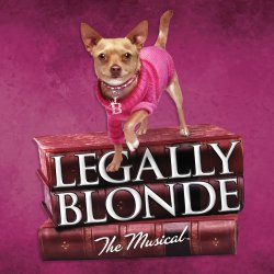 Legally Blonde zondag 14 juni 13:00u