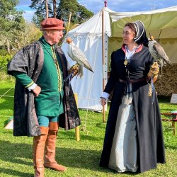 Tudor falconry
