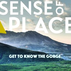Sense of Place: Talking Trees: Family & Timber with Brothers Phil & Steve Rigdon