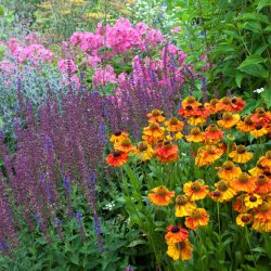 Behind the scenes at Great Dixter - August