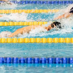 Photo of a swimmer