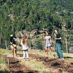Jornada de voluntariat: manteniment de l'espai i els accessos