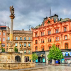 Czech Republic Global Clubfoot Training Level 1: Principles and Practice of Ponseti Course