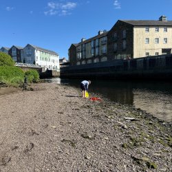 Biodiversity & Water Quality Monitoring Workshops – Ilen River Catchment