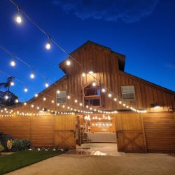 Line Dancing In The Barn