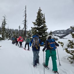 A group of people wearing snow gear and snowshoes walk down a snowy tree-lined trail away from the camera