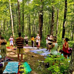 Forest Bathing Experience at Riverwood Conservancy