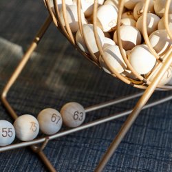 Bingo in the Garden