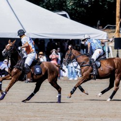 Hickory Top Polo Classic 2027