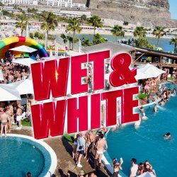 Wet & White, Summer Edition 2027