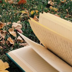 Art in the Orchard: Beginner's poetry workshop with Matthew Stoppard (Wortley)