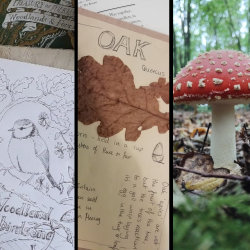 Woodland I-spy