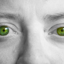 A black and white picture of the very centre of a face with piercing green eyes in colour and the bridge of the nose visible