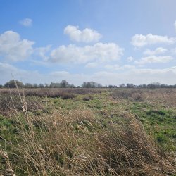 Carr House Green Common Invertebrate Recording Day