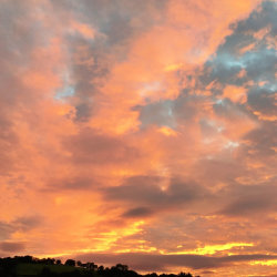 Waking From The Dream -  Tejananda meditation weekend