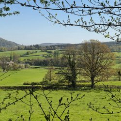 Herefordshire's Hidden Gems - wildlife & history around Mordiford