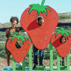 A mother and daughter laughing on the farm and looking at an overflowing bucket of strawberries.