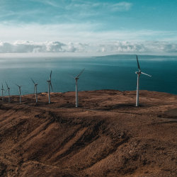 Energy Blindness