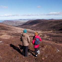 Butlers Glen – Summer Walk